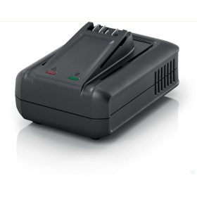 Bosch Siemens hálózati gyorstöltő (17008524)